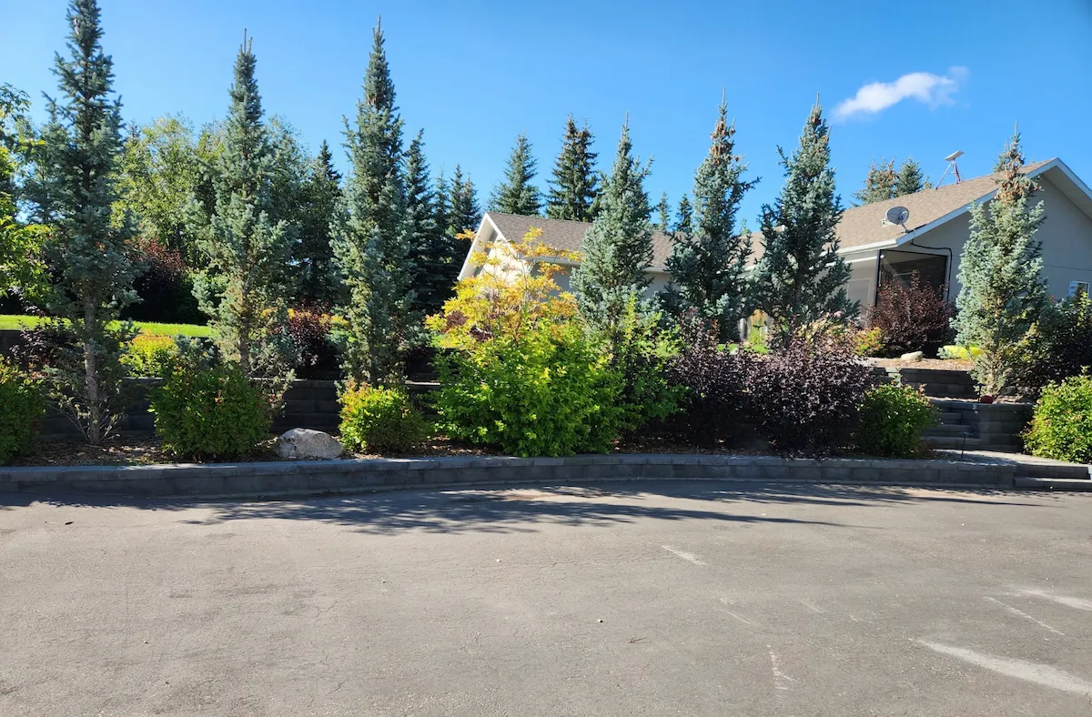 Trees and multi-coloured bushes flourishing among tiered Keystone retaining walls in front of home